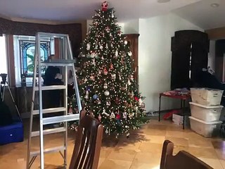 Building the Most Beautiful Christmas Tree (Time Lapse)