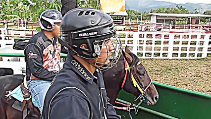 COLEO FESTIVAL DE LA NARANJA