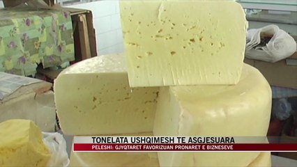 Peleshi: Gjyqtarët favorizuan pronarët e bizneseve - News, Lajme - Vizion Plus
