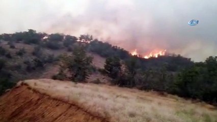 Bingöl’de 4 gündür süren yangın kontrol altına alındı