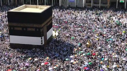 Hacı adayları yarın Arafat'a çıkacak - MEKKE