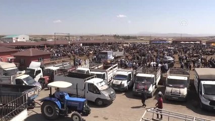 Doğu Anadolu'da Kurban Pazarlarında Hareketlilik