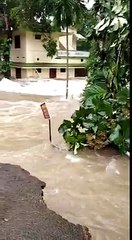 Heavy Water Flood in Kerala Inida