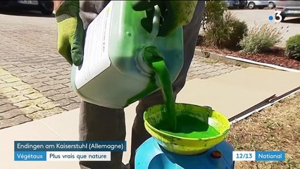 Sécheresse : une peinture verte écologique pour les végétaux