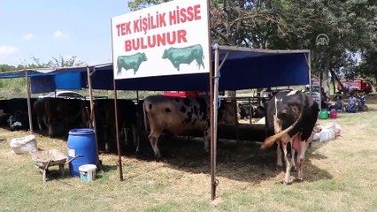 Bir tonluk 'Paşa' alıcısını bekliyor - TEKİRDAĞ