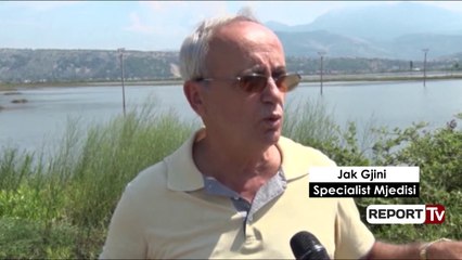 Report Tv- Lezhë/ Ndërprerja e prurjeve e kthen Drinin në “Lumin e Vdekur”