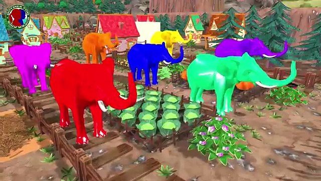 Colors Lion Finger Family RHymes For Kids || Daddy Finger songs Collection For childrens &