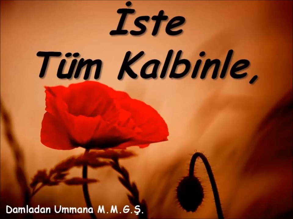 İste Tüm Kalbinle Mustafa Murat Güngör Şiir Dinşetisi