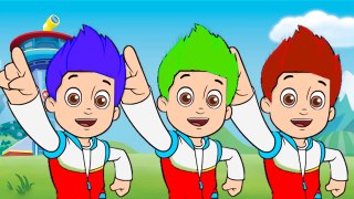 Learn Colors With Paw Patrol Ryder Color Hair & color balls coloring Ryder hair. Kids Lear