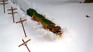 Reading RR Plow Train G Scale