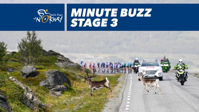 Minute buzz, best pictures - Étape 3 / Stage 3 - Arctic Race of Norway 2018