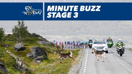 Minute buzz, best pictures - Étape 3 / Stage 3 - Arctic Race of Norway 2018