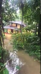 Heavy Water Flood in Kerala Inida