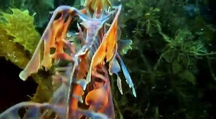 The Dominion of the white death - Now in High Quality! (Part 2/5)