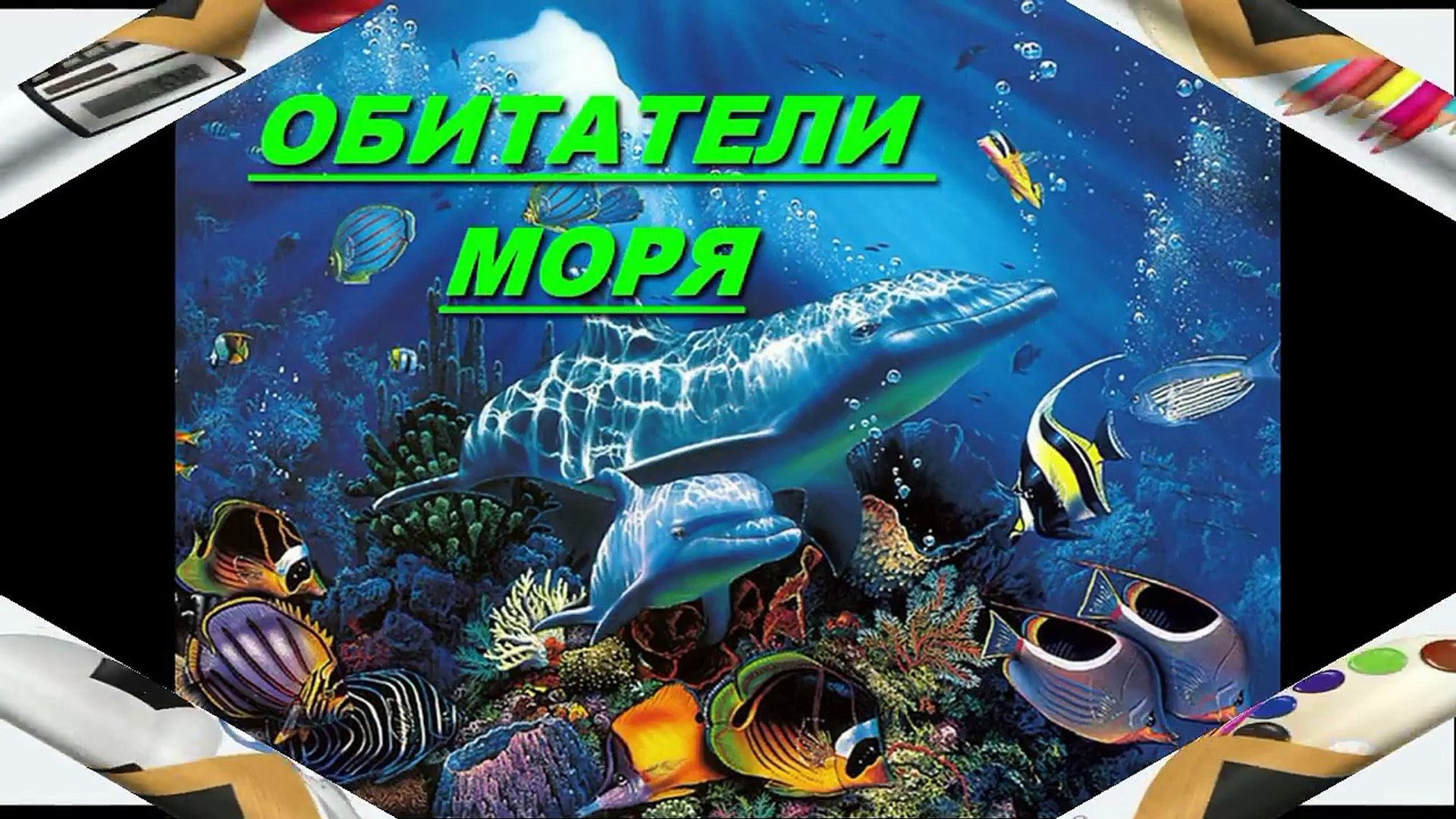 ⁣Развивающее видео для детей от года Обитатели моря