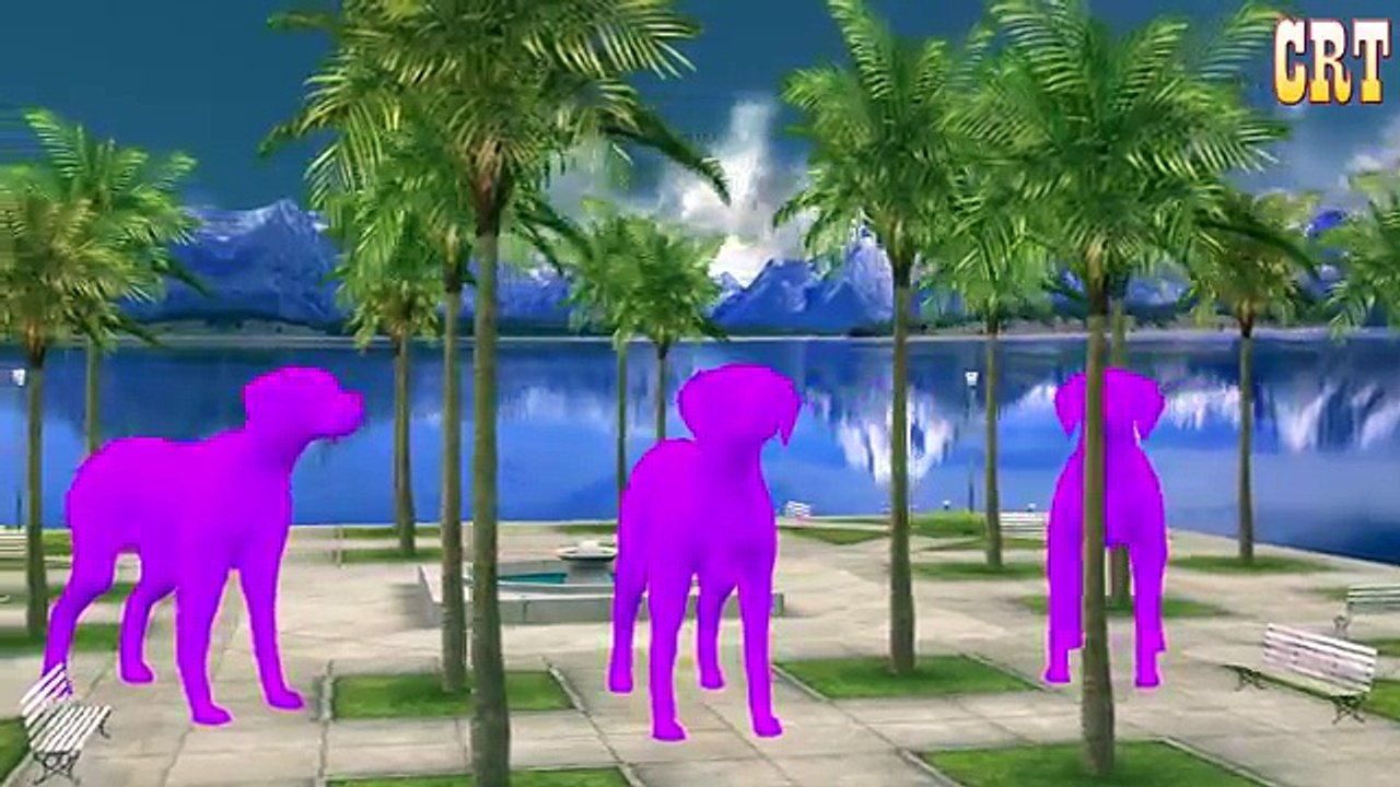 Colourful Pigeon Colour Song || Learning Nursery Rhymes || Cartoon For Children Rhymes Com