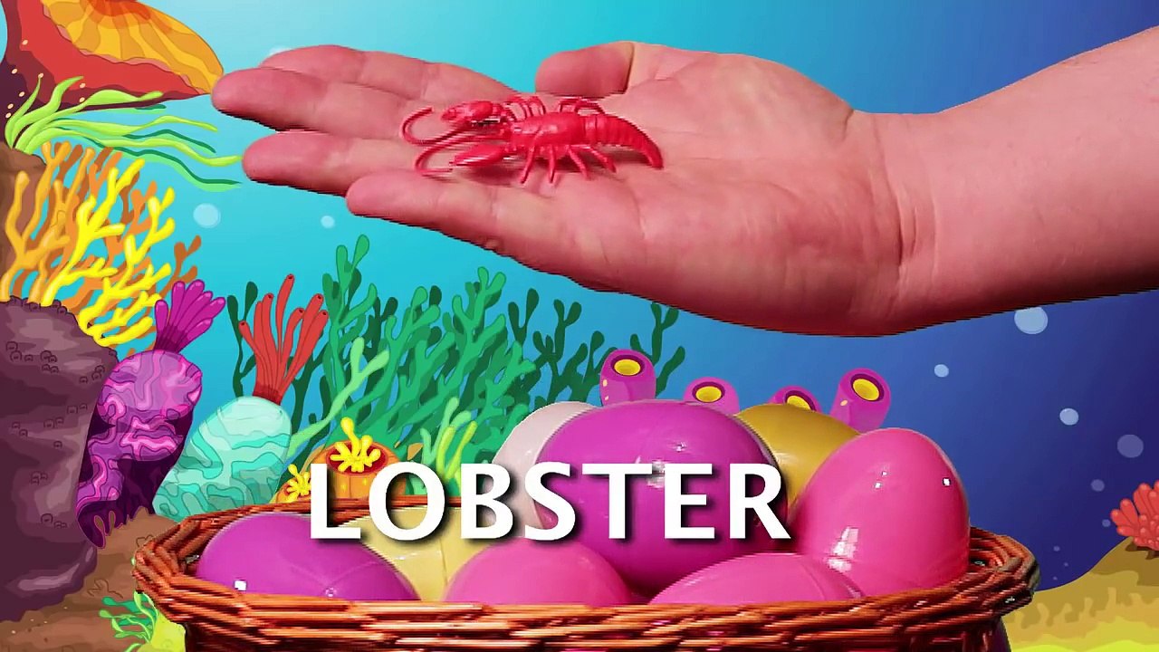 Ingles para niños Animales Marinos Video Educativo #