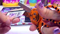 LPS Limited Special Edition Zinnia Gardner Zebra Mail Bobbleheads Littlest Pet Shop Toy Un