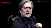 Steve Bannon: 'It Would Concern Me' If Trump Knew About Trump Tower Meeting