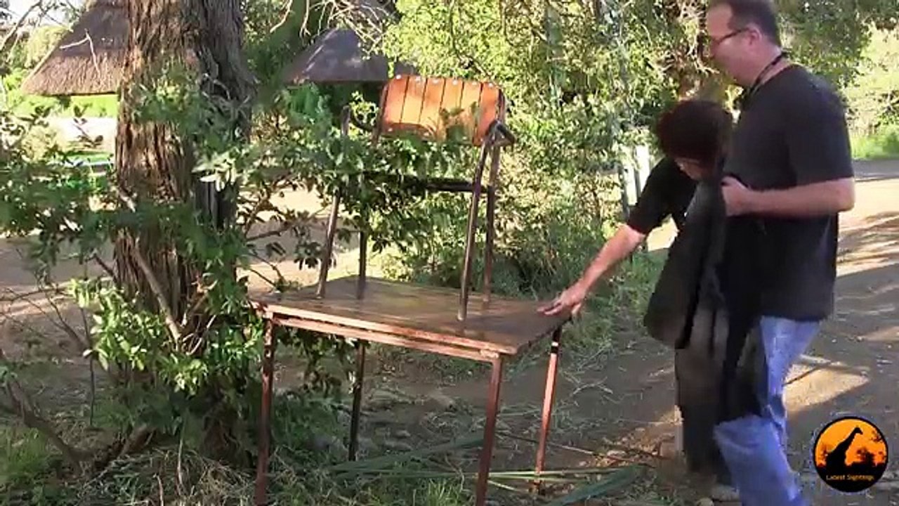 Baby Squirrel Saved From Death in Kruger 14 December new Latest Sightings