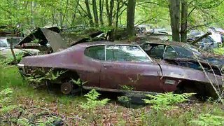 Abandoned cars in forgotten junkyard