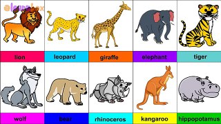 Learn Wild Animals & their Names free for Nursery Children & Preschool Kids