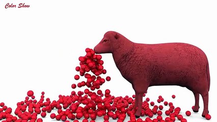 Learn Colors With Sheep Eating Soccer Balls for Kids Colours With Animals