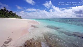 [Preview] THE MOST BEAUTIFUL ISLAND IN THE WORLD [1080p Nature Video Preview]