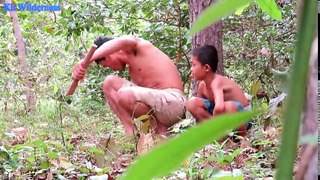 Primitive Technology-Awesome Quick Porcupine Trap Using Cage That Works 100__HIGH