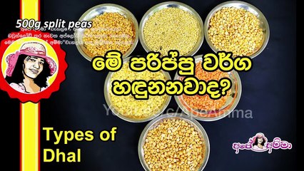 ✔ මේ බලන්න පරිප්පු කඩල බදින හැටි(ස්වයංරැකියා අත්වැල) Parippu kadala fry by Apé Amma