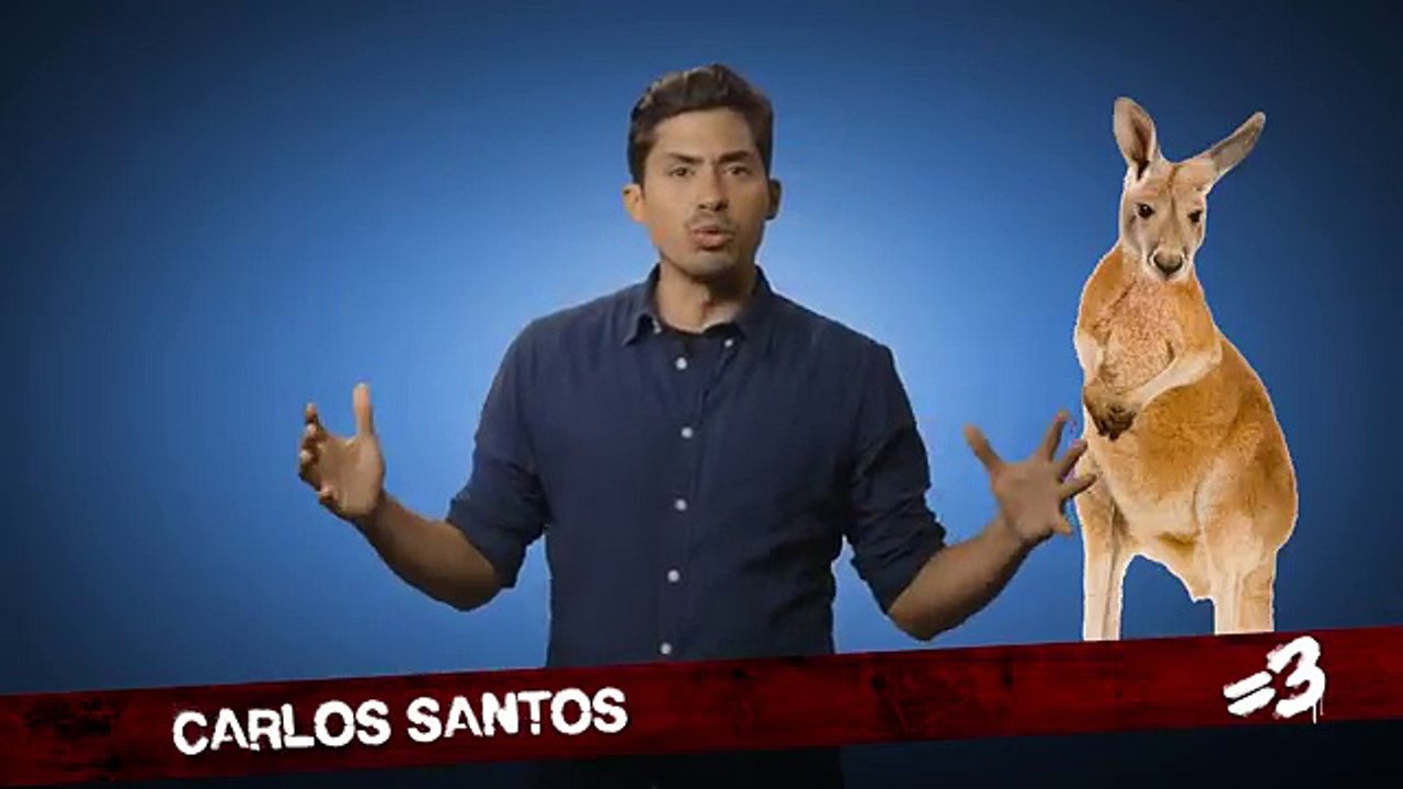 Comedians On: Australia