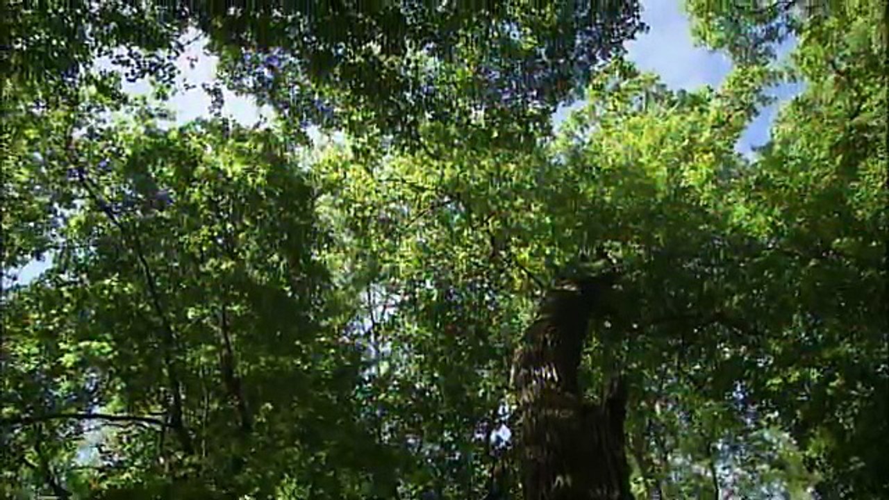 River Without Frontiers The Secrets of Nature