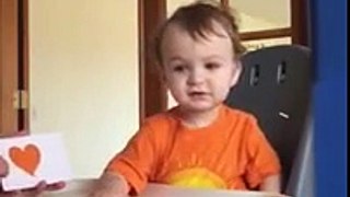 Toddler Knows Numbers, Colors, Shapes