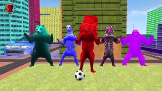 crazy colors lion finger family rhymes for toddlers ll crazy 3d animals rhymes collection