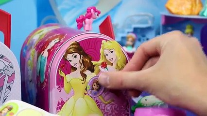 DISNEY PRINCESS Mailbox SURPRISE TOYS & TMNT Box with Wikkeez, Surprise Eggs, Fashems, Els