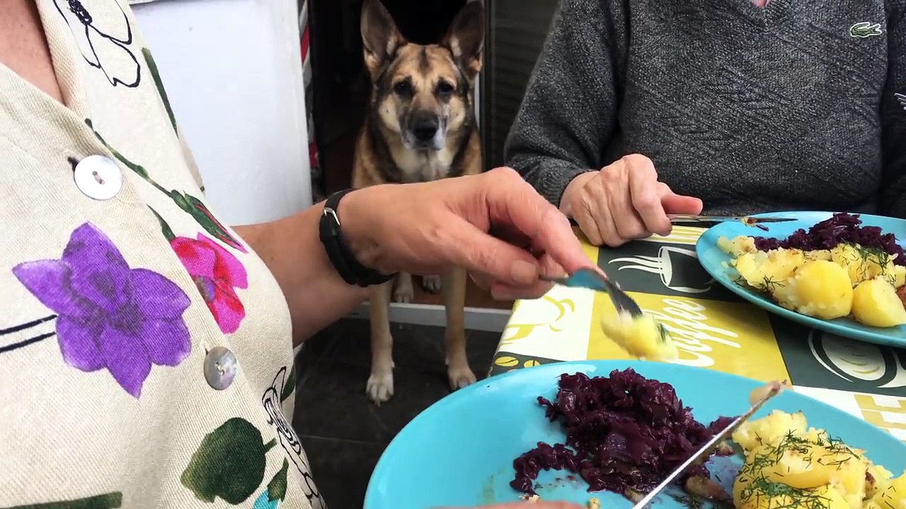 ŚMIESZNE PSY #2  DUBBING: MATT OLECH