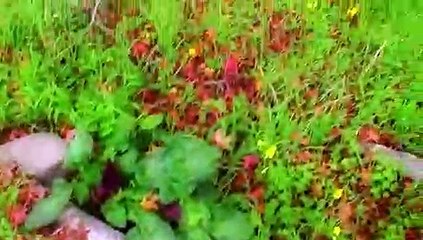 My Ghost Story S01E04 The Boy In The Closet