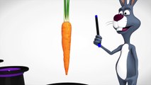 Learn Colors With Rabbit Animals W Hat & Learn Fruit Names Colours Videos For Kids