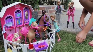 Barbie Majestys Big Race