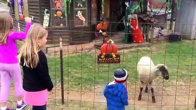 Monster Trucks for Kids Trains and the Monster Trucks for Children & Toddlers Children Lea