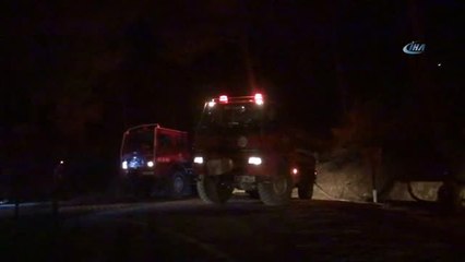 Havai Fişek Ormanı Yaktı