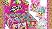 Shopkins Season 3 Fashion Boutique Mode Ice Cream Truck Playset Candy Collectors Card Box