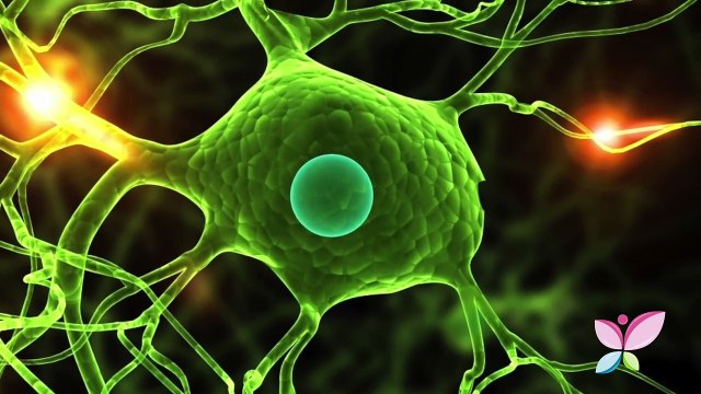 Benefícios dos beijos para a saúde