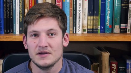 MiWay CEO makes Anti-White hateful comments | Rene Otto - South Africa