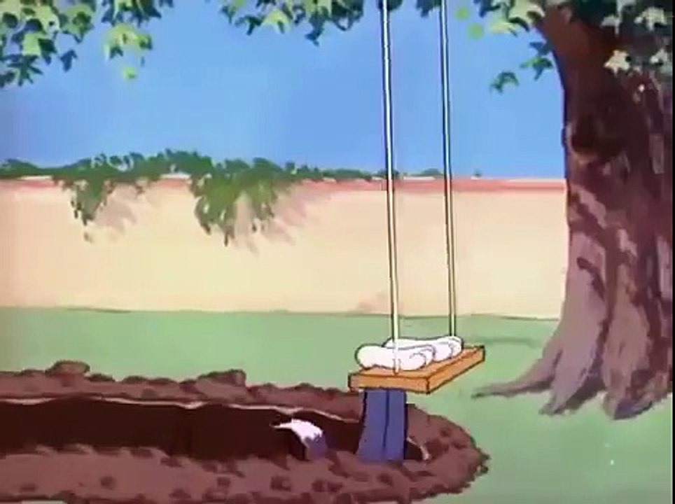 Tom and Jerry The Flying Cat