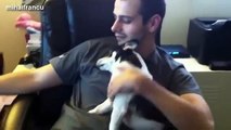 Funny Cute Dogs Love Their Human Owners Compilation 2014