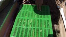 Anzer’den Propolis atağı...Anzer Yaylası'nda arıcıların ürettiği Propolis kilogramı 3 bin TL’den satılıyor