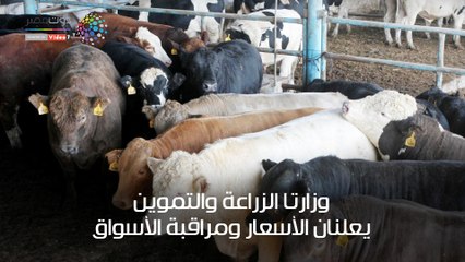 قائمة أسعار الأضاحي واللحوم قبل العيد الكبير