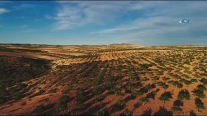 Sosyal Medyada "Ben Antep'im" Fırtınası