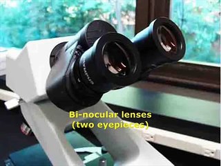 How To Use a Compound Light Microscope- Biology Lab Tutorial